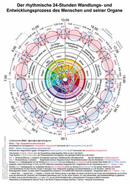 BRAC Meridian Organuhr Abreissblock A4 mit 25 Blatt