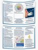 Stimm-Frequenz-Analyse SFA-Check Flyer Stimm-Frequenz-Analyse SFA-Check Flyer